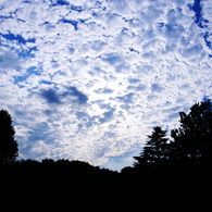 late summer afternoon