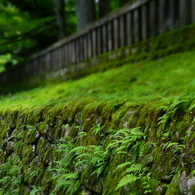 青い壁