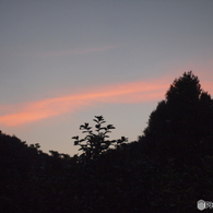 夕方