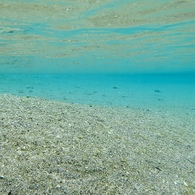 BLUE POINT 2