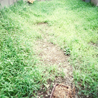Lomography workshop (04)