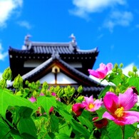 郡山城 ～初秋の彩り～