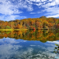 秋の丸池