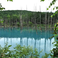 青い池