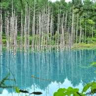 青い池