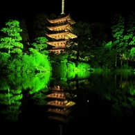 国宝瑠璃光寺五重塔