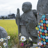 お地蔵さんにお地蔵さんに供えられたお花