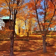 秋の上田城にて