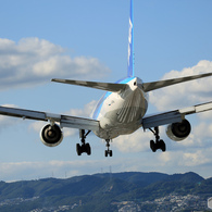 ✈初めての聖地巡礼 雲・山・お尻にゼブラ模様