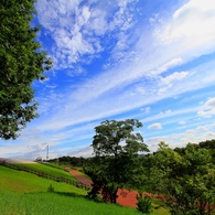 真夏の空
