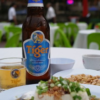 Tiger beer