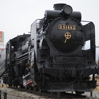 D51 483
