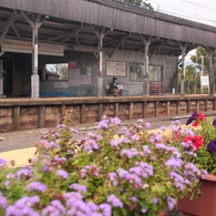 花のある駅舎