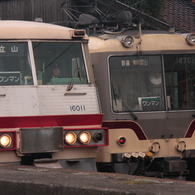 電車君好き！