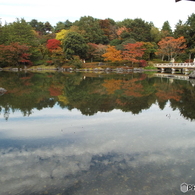 紅葉の日本庭園9