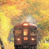 加速する秋