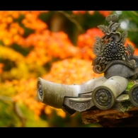 屋根と紅葉1
