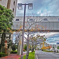 副都心　晩秋2