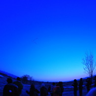 夜明け前の飛翔