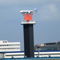 ☮７８７ 只 今 ・ 特別展示中です？