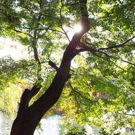 井の頭恩賜公園10