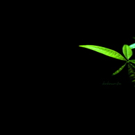 ~夏夜
