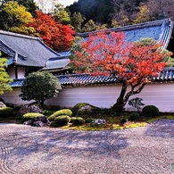 ここから連れ出してよ。（南禅寺　方丈にて　２）