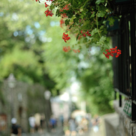 montmartre