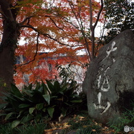 天岑寺9