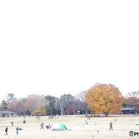 みんなの原っぱ12