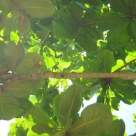 IMG_4816_R