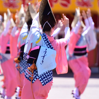 春の阿波おどり　③