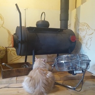 癒し猫のプーちゃん
