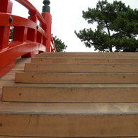 shrine2 by.sumiyoshitaisha