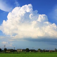 夏の終わりの本気