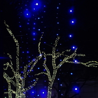 青い光が降る夜