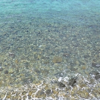 奄美の海No.5