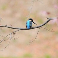 俺の背中