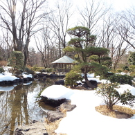残雪の日本庭園8