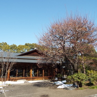 残雪の日本庭園9