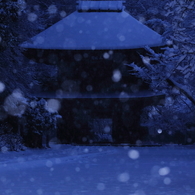ＴＯＫＹＯローカル紀行