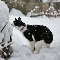 雪の日の冒険　その３