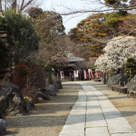 観音寺10