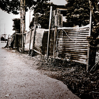 写シンの由来 (03)