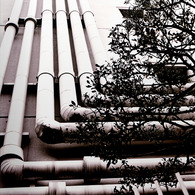 写シンの由来 (04)
