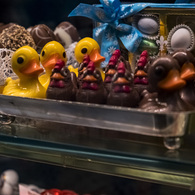 rubber duck