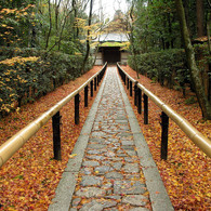 高桐院