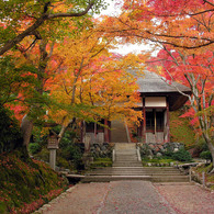 常寂光寺