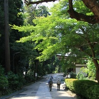 夏の散策