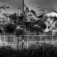 Rail Road Movies #2